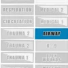 Airway Patch