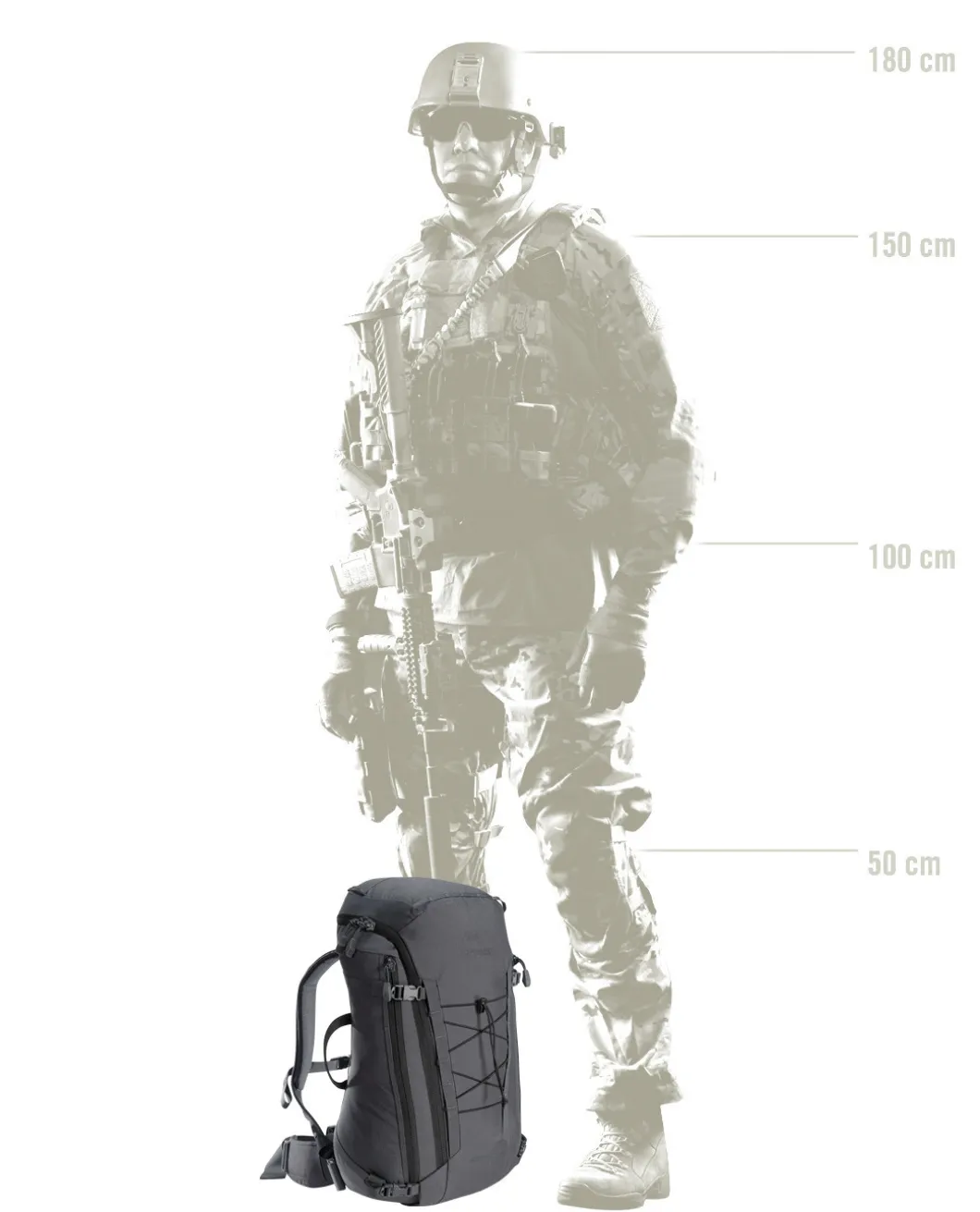 Assault Pack 30 Wolf