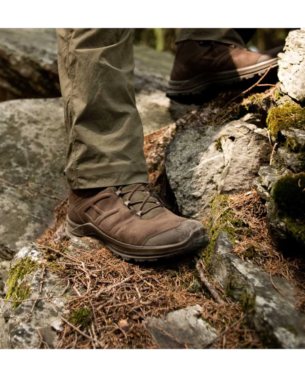BLACK EAGLE Nature GTX Mid Braun