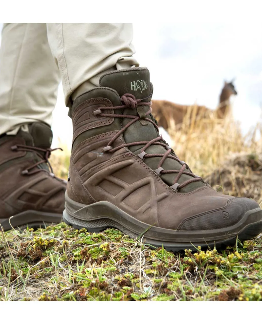 BLACK EAGLE Nature GTX Mid Braun