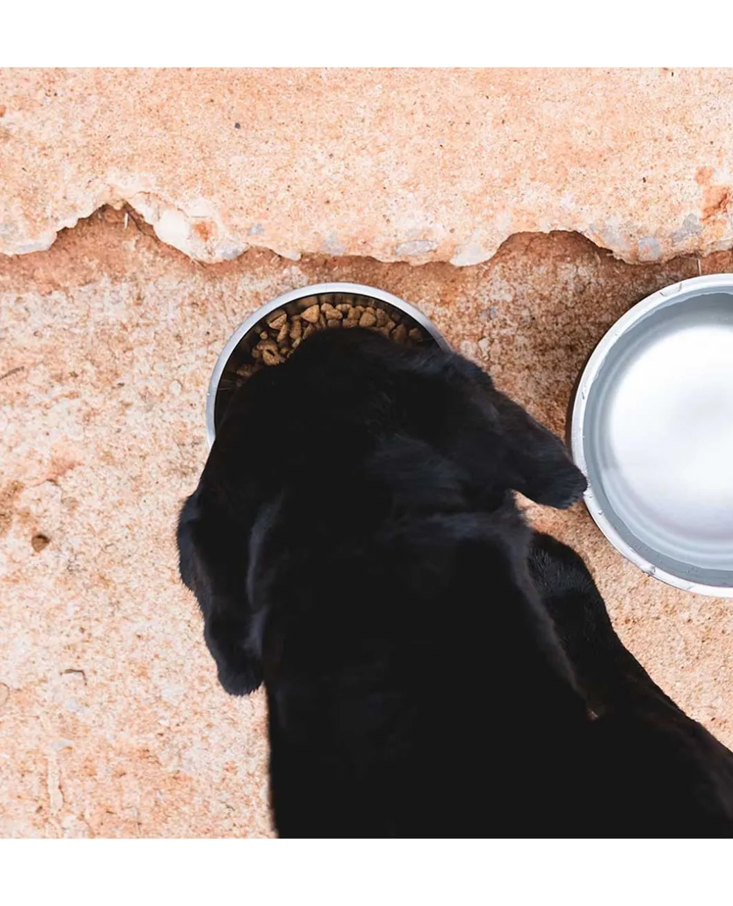 Boomer 4 Dog Bowl Nordic Blue Petrol