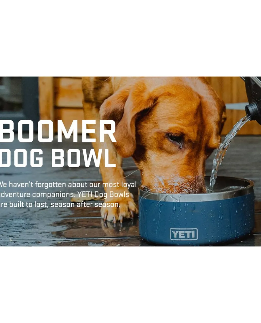 Boomer 8 Dog Bowl Nordic Purple Beere