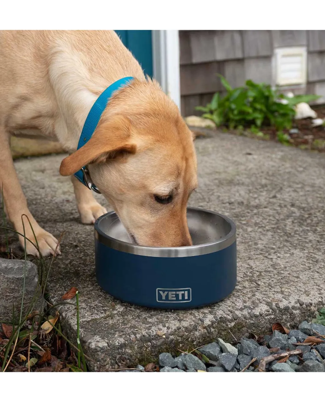 Boomer 8 Dog Bowl Nordic Purple Beere