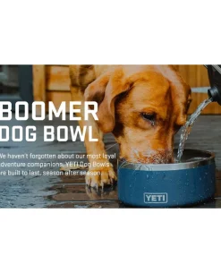 Boomer 8 Dog Bowl Seafoam Mint