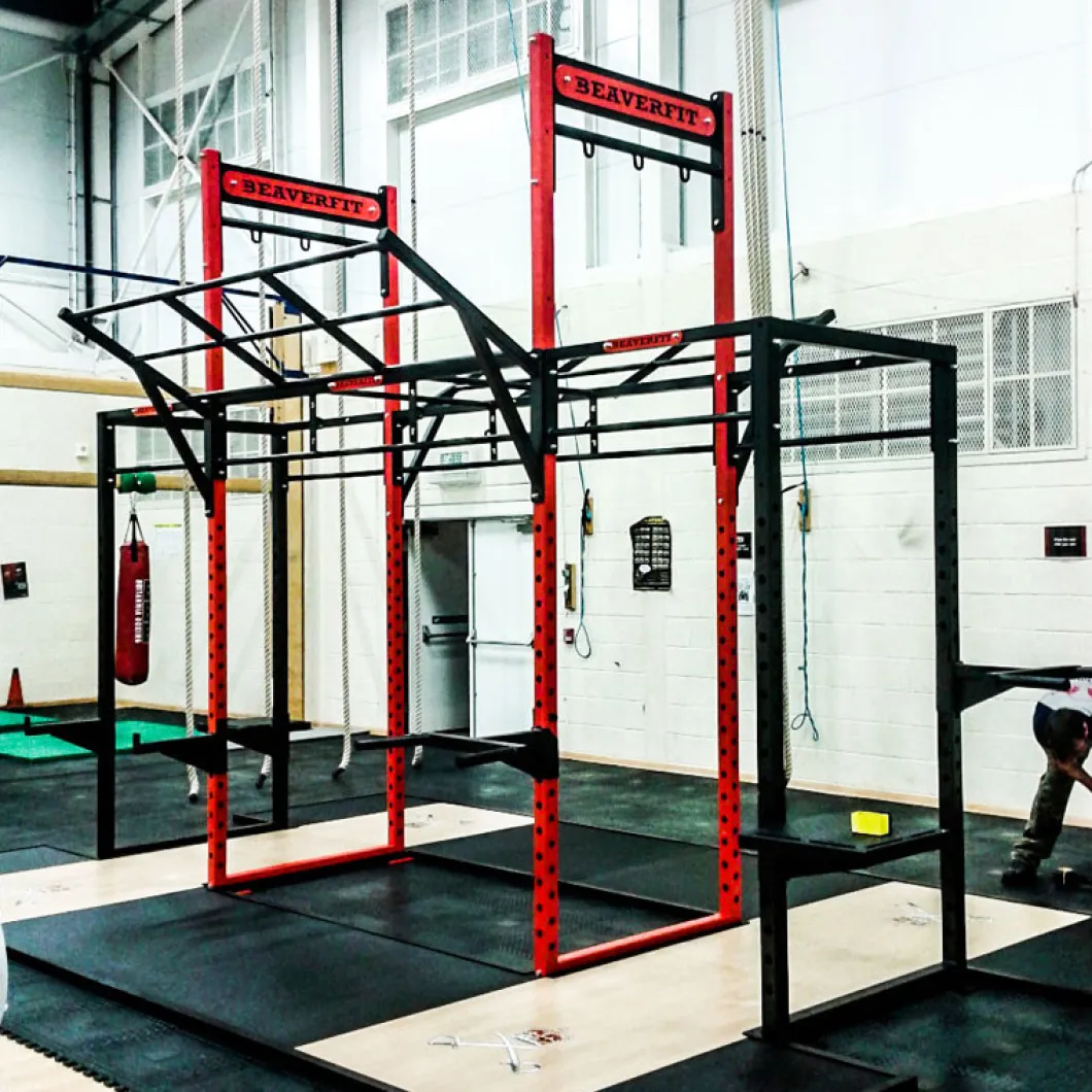 Crusader Functional Training Rig