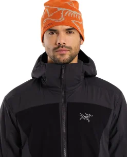 Practitioner AR Hoody Men's Carbon Copy