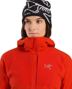 Practitioner AR Hoody Women's Dynasty