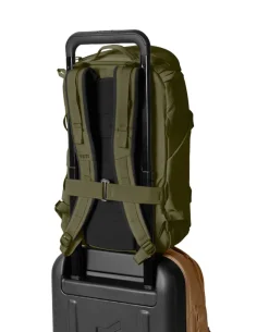 Ranchero 22 Olive