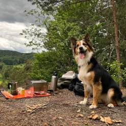 Skotti-Grill