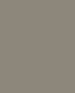 Tarnfarbe EC Paint Coyote Brown