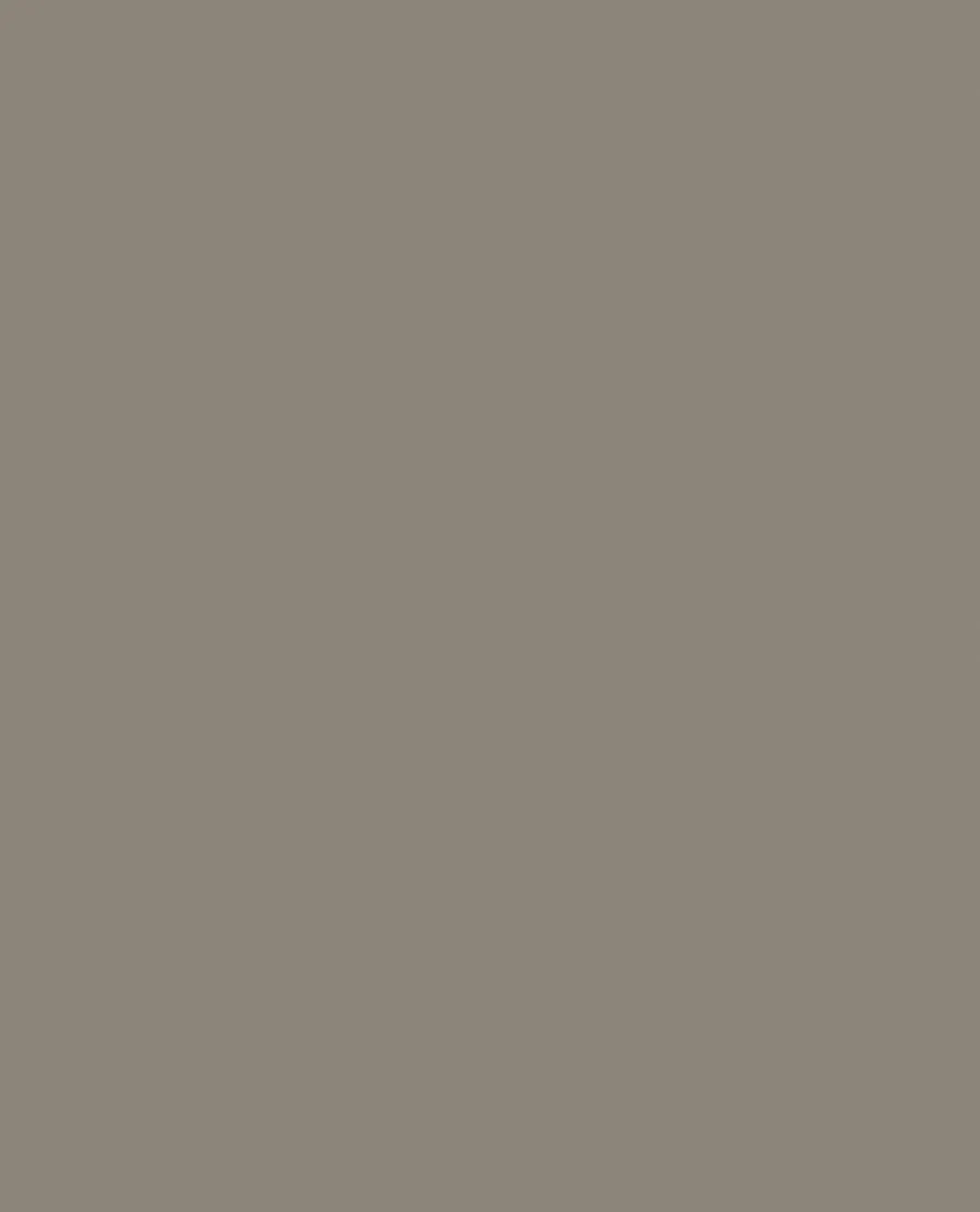 Tarnfarbe EC Paint Coyote Brown
