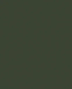Tarnfarbe EC Paint Forest Green