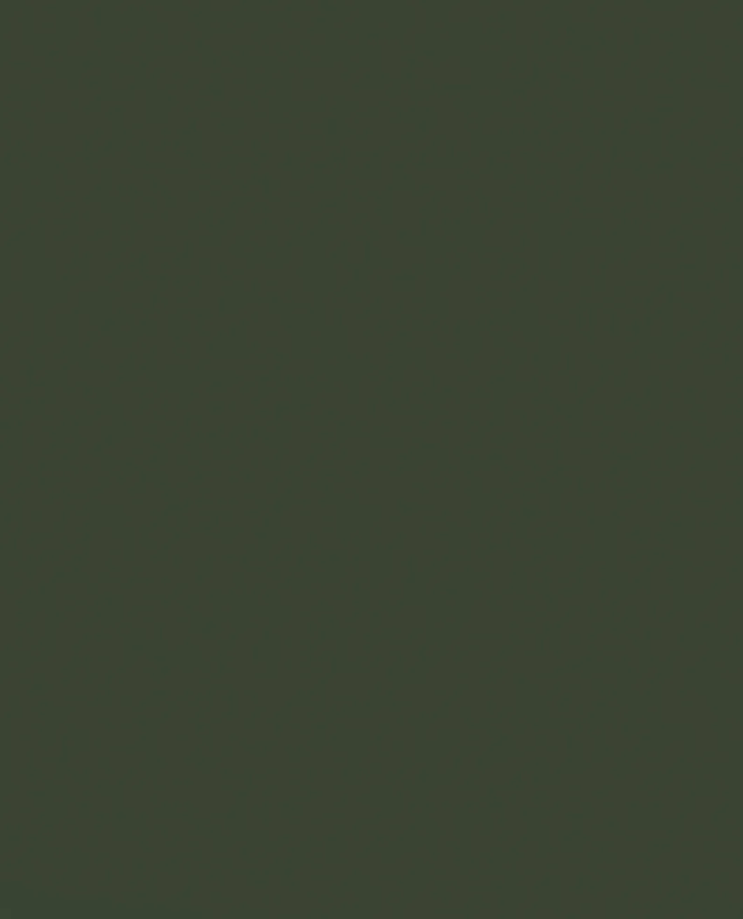 Tarnfarbe EC Paint Forest Green