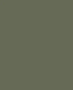 Tarnfarbe EC Paint OD