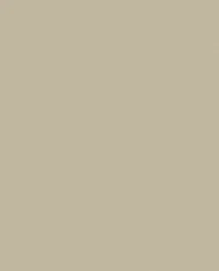 Tarnfarbe EC Paint Sand