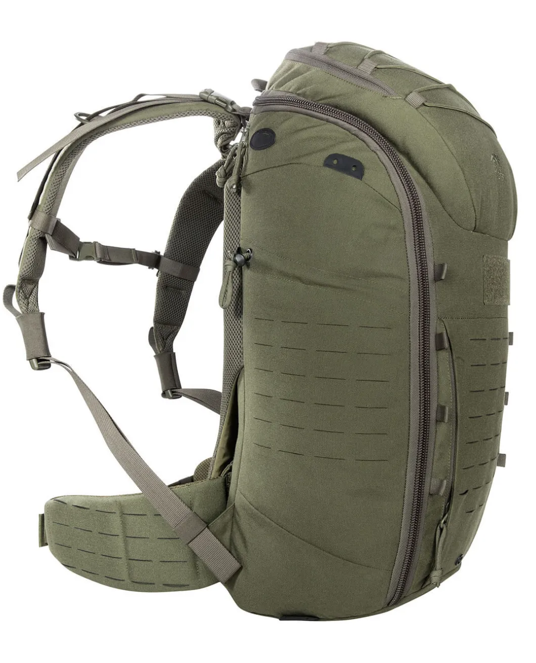 TT Molle Hip Belt Oliv