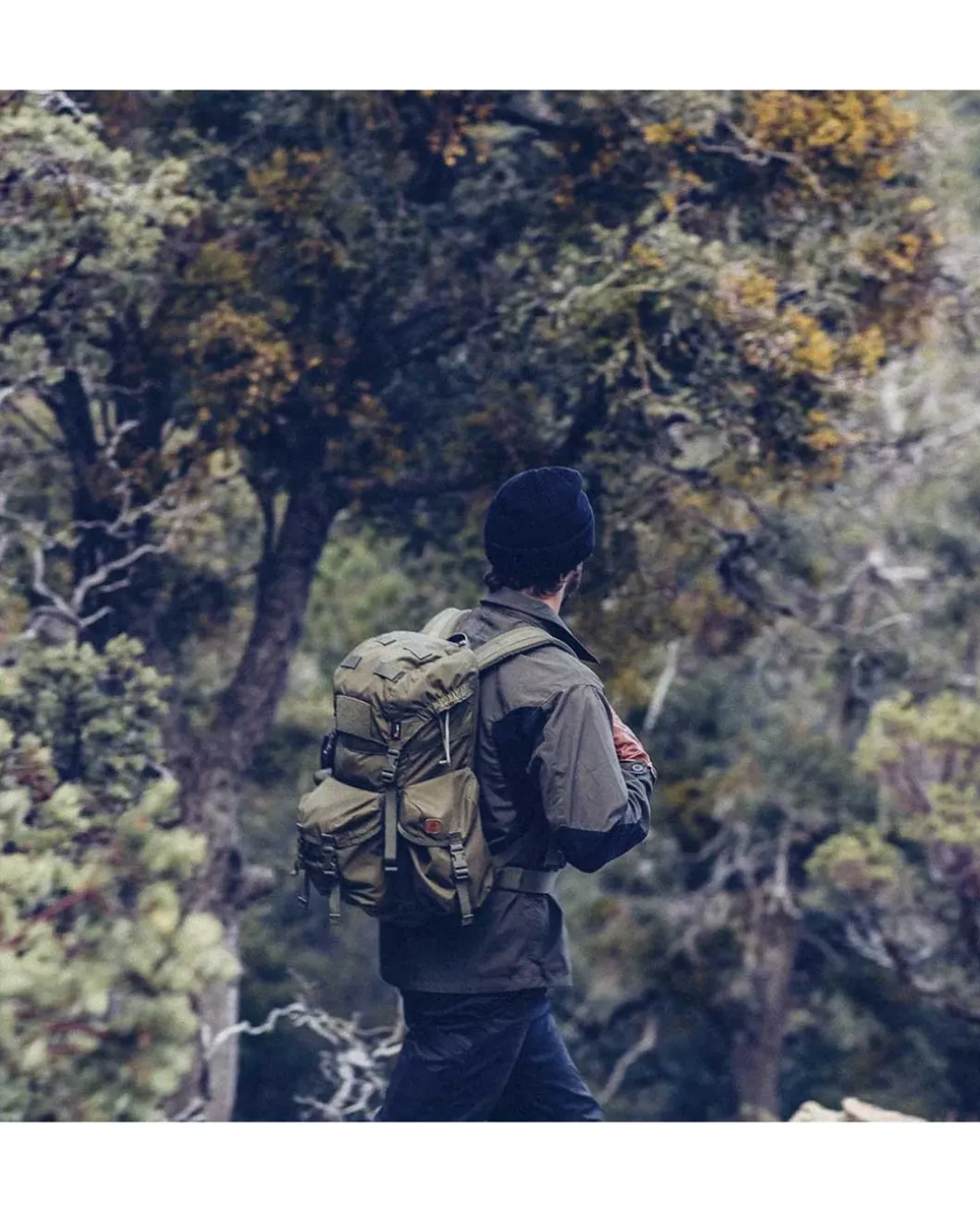 Woodsman Shirt Coyote / Taiga Green
